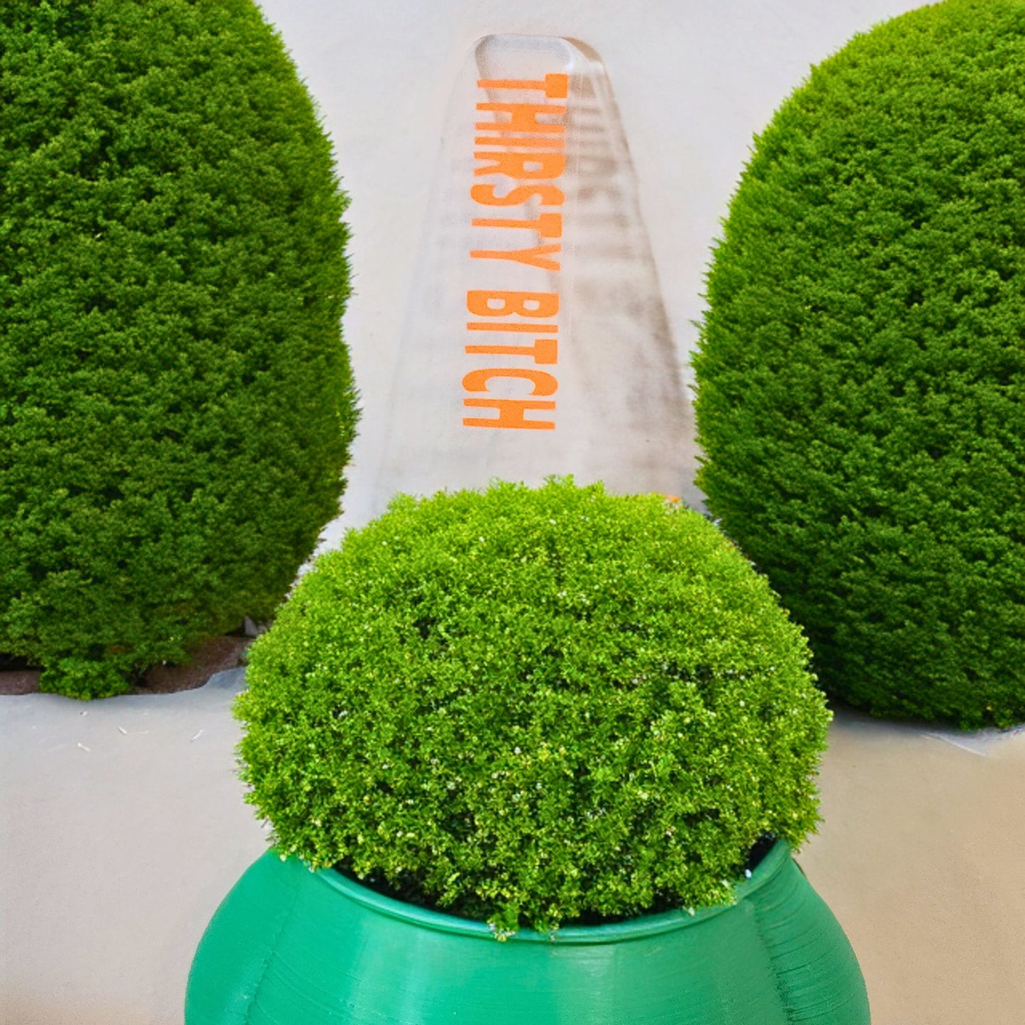 Bad Mum's Plant Markers