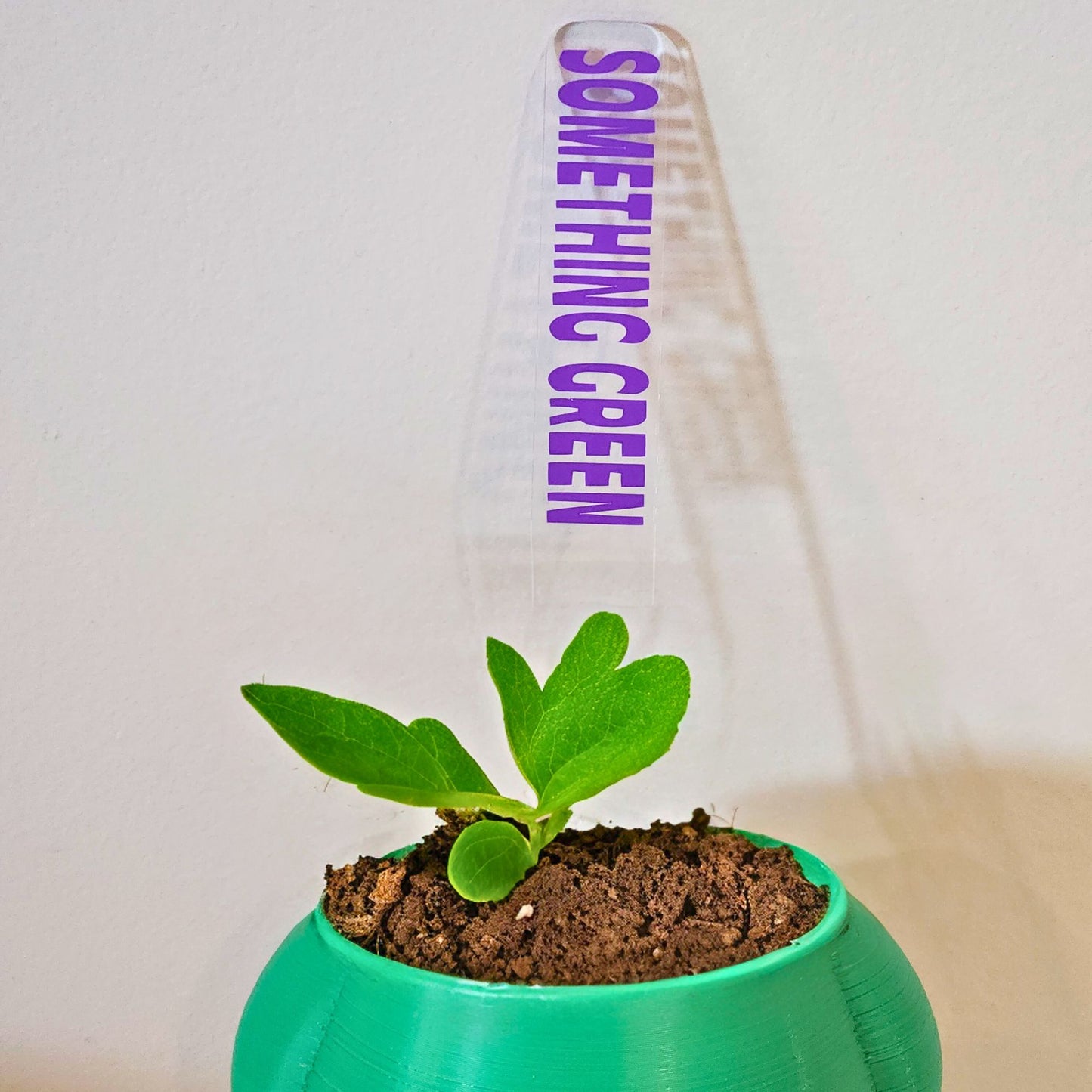 Bad Mum's Plant Markers