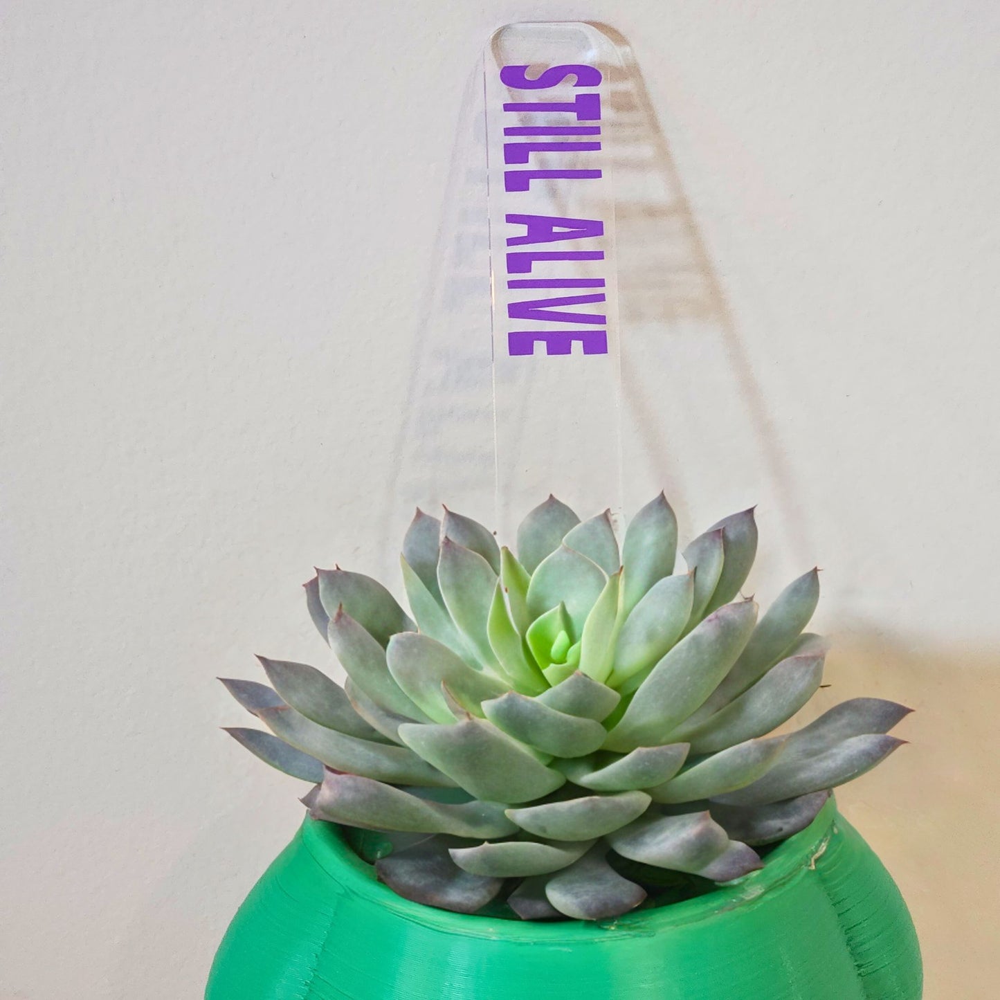 Bad Mum's Plant Markers