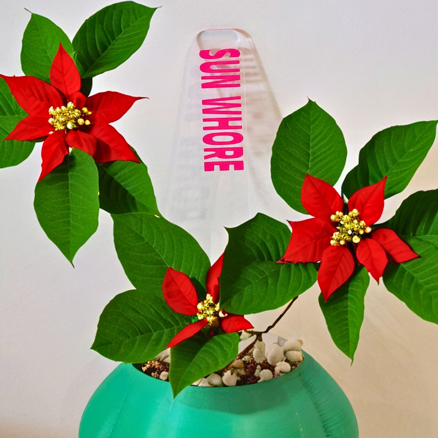 Bad Mum's Plant Markers