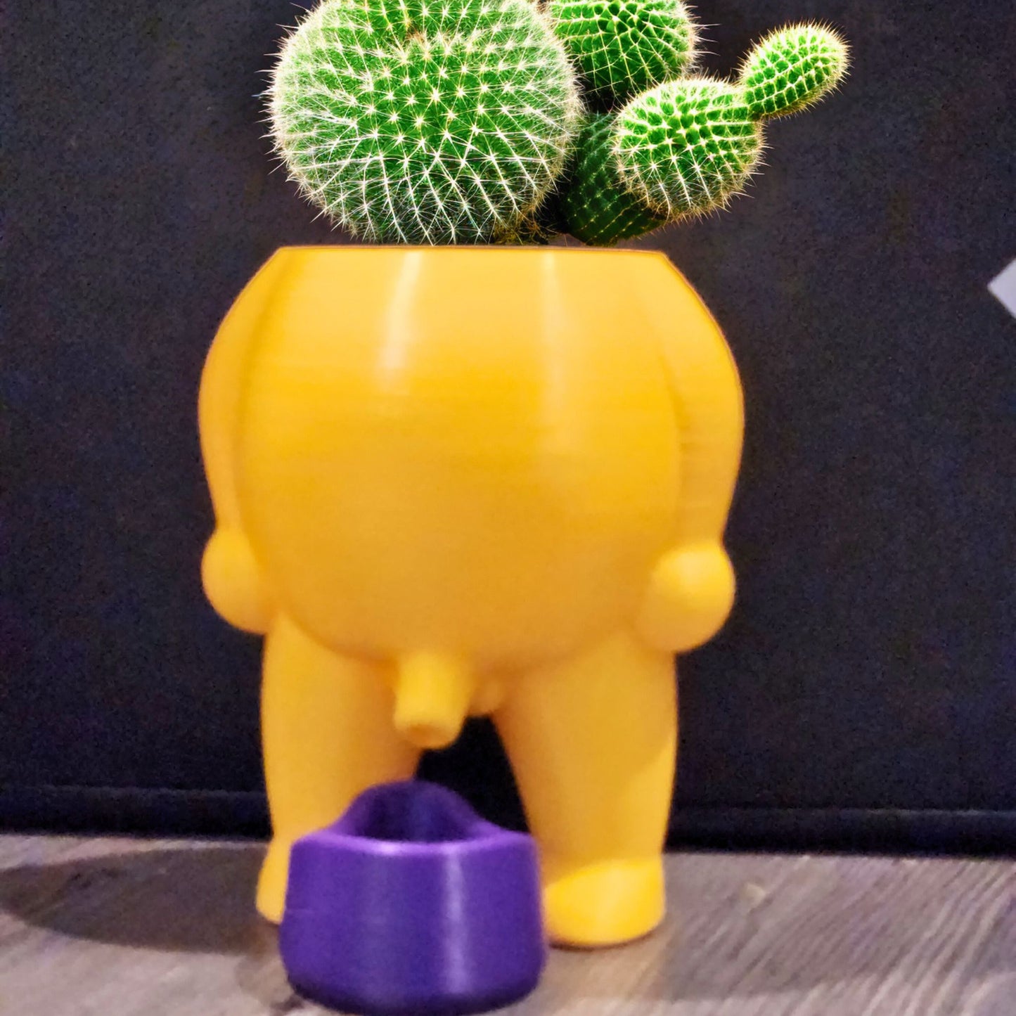 Mr. Pecker Pot Phallic Succulent Planter