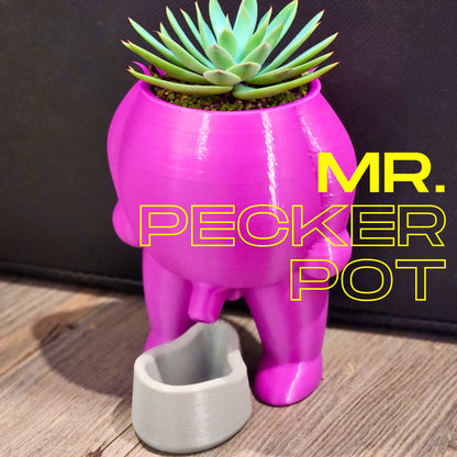 Mr. Pecker Pot Phallic Succulent Planter